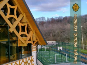 Team building lângă București în natură: beneficii, activități și cum alegi locația potrivită