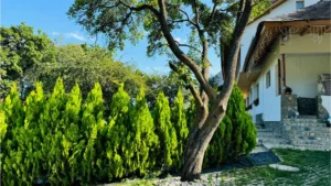 Escapadă de la București la munte în sub 2,5 ore: ghid complet pentru 2026